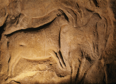 Bouquetine de l'abri sous-roche sculpté et orné du Roc-aux-Sorciers, daté d'il y a 15 000 ans (Magdalénien). Exemple exceptionnel de sculpture pariétale de la Préhistoire. Angles-sur-l'Anglin. © MCC/Geneviève Pinçon 