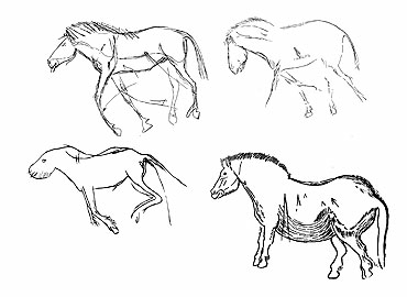 Dessins de relévés de chevaux de l'art paléolithique
