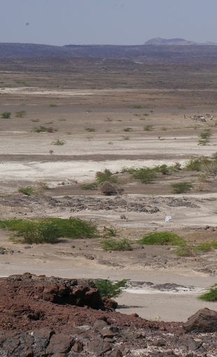 Le bassin lacustre du Gobaad en République de Djibouti © Jessie Cauliez